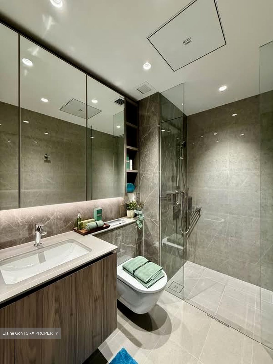 Clementi Avenue 1 (D5), Condominium #612784311